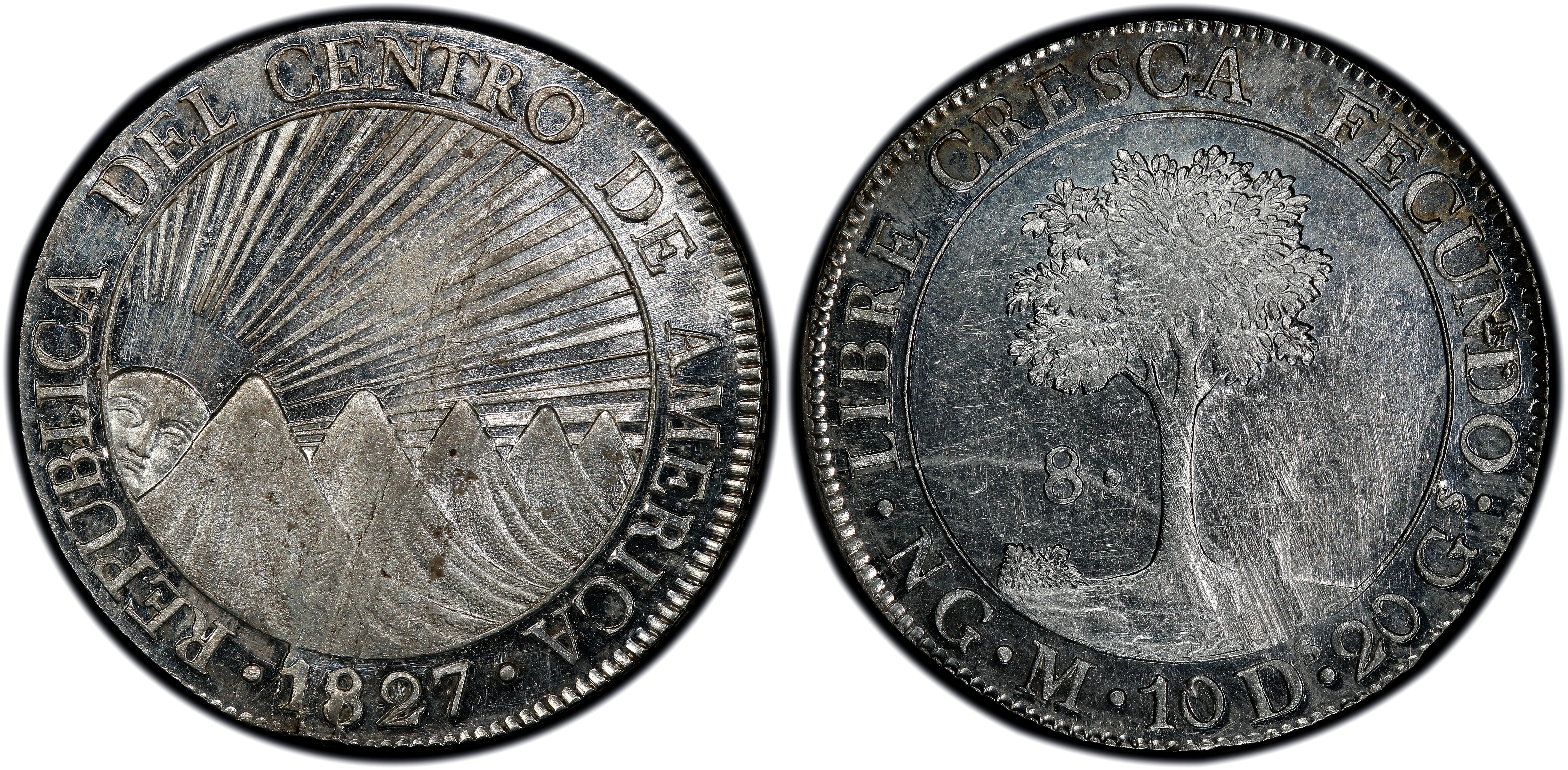 1827-NG Central America Republic 8 Reales